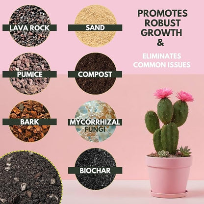 Soil Sage Cactus & Succulent Potting Mix 5Qt - Premium Fast Draining Soil for Indoor Plants and Aloe Vera - High Drainage Blend for Healthy Roots and Growth - Made in USA