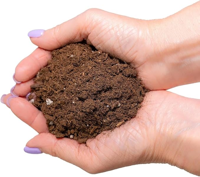 GARDENERA Premium Snake Plant Potting Soil Mix - 10 Quart - Green Sansevieria Trifascatia Zeylanica Plants, Plant or Re-Pot Your Snake Plant (2 Bags of 5 Quart)