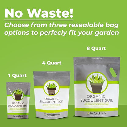 All Natural Succulent and Cactus Soil Mix by Perfect Plants | Made in The USA | 4 Quarts for All Succulent Varieties | Formulated for Proper Drainage