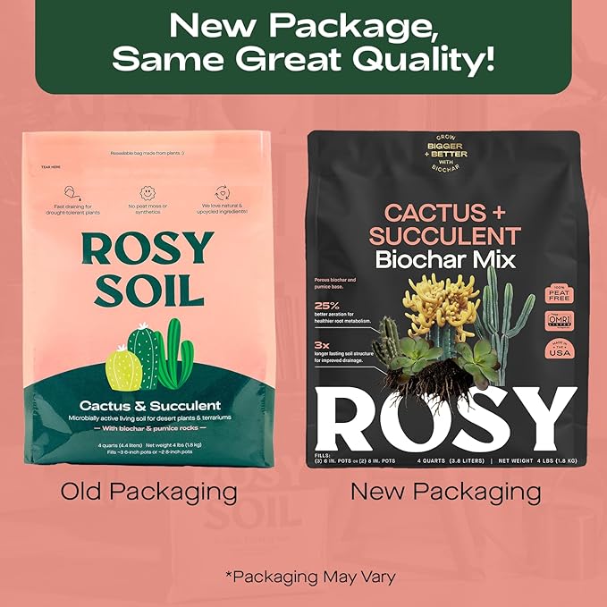 Cactus and Succulent Organic Potting Soil Mix for House Plants - Fast Draining, Root Boosting, Peat-Free, Less Prone to Gnats - Drought-Tolerant - Growth of Aloe Vera, Cacti and Indoor Succulents- 4qt