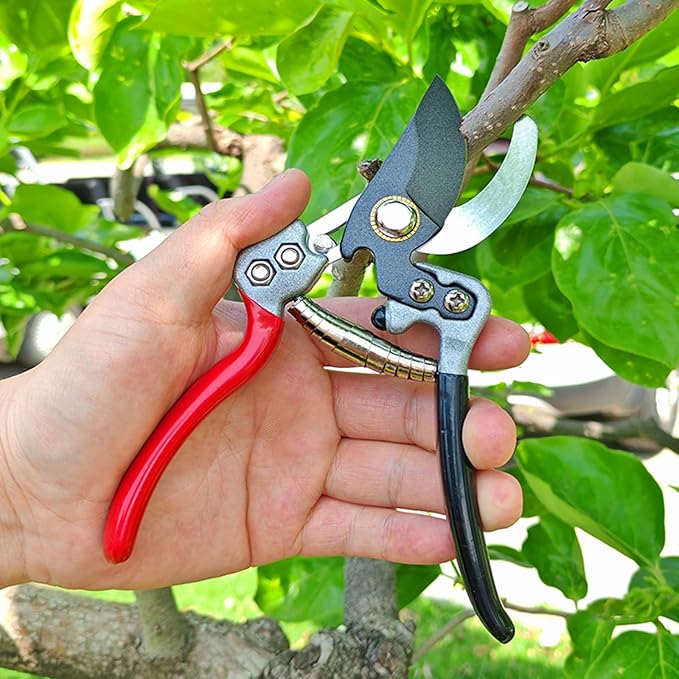 Ultra Sharp Germany Steel Pruning Shears - Cuts 3X Easier, Weak Hand Arthritis Snips, Rust-Resistant, Effortlessly 1-Inch Cut Capacity Garden Scissors, Ergonomic Handle (gt-05, 1)