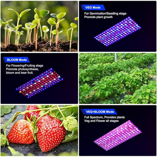 2024 Upgraded BW2000 LED Grow Lights Double Chips Full Spectrum with 10ft Cable for Greenhouse and Indoor Plant Veg and Flower Growing [White]