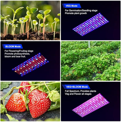 Upgraded BW1000 LED Grow Lights Double Chips Full Spectrum with 10ft Cable for Greenhouse and Indoor Plant Veg and Flower Growing [Black]