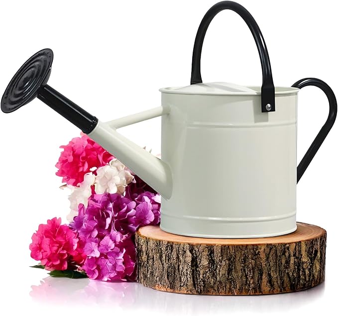 Plexon 1 Gallon Metal Watering Can Outdoor, Flower Plant Gardening Garden Large Watering Can Pot, Black Galvanized Steel Handles and Removable Spray Spout, Off-White