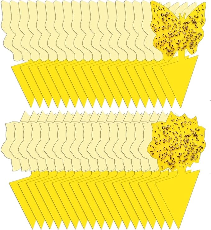 36 Pack Fruit Fly Traps for Indoors, Gnat Traps for House Indoor, Sticky Traps Fungus Gnats Killer for Mosquito and Flying Insects, Bug Pest Insect Catcher Killer for Houseplant