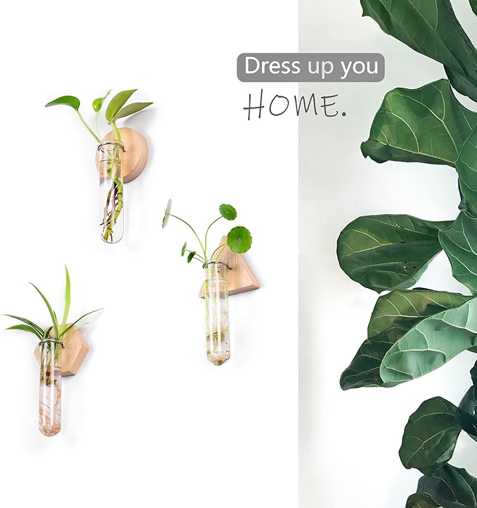 MITIME Wall Hanging Planter Glass Plant Propagation Station,Geometric Wooden Stand for Home Office Decoration.