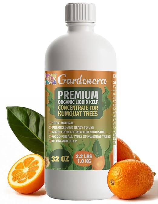 GARDENERA Premium Organic Seaweed & Kelp Superfood for Kumquat Plants - 32 oz - Liquid Kelp Fertilizer Concentrate (Makes 180 Gallons)