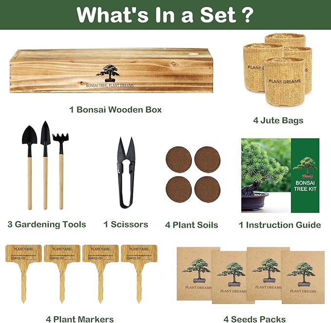 Bonsai Tree Kit, Complete Bonzai Tree Starter Kits with Tools, Unique Christmas Birthday DIY Gardening Gifts for Women Mom Men Grandkids, Crafts Hobby Kits, Grow Bonsai Tree Live Indoor