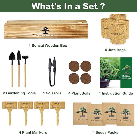 Bonsai Tree Kit, Complete Bonzai Tree Starter Kits with Tools, Unique Christmas Birthday DIY Gardening Gifts for Women Mom Men Grandkids, Crafts Hobby Kits, Grow Bonsai Tree Live Indoor
