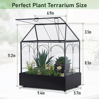 Glass Plant Terrarium with Lid and Tray 9.4"×5.7"×11.2" Geometric Garden Terrarium Glass Container for Plants Indoor Mini Tabletop Greenhouse Orchid Succulent Cacti Planter Kit