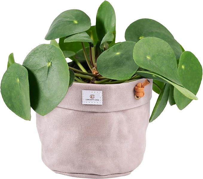 Large Waxed Canvas Handmade Hanging Planter for Indoor/Outdoor Plants, Hanging Basket Plant Holder Stone Gray with Hook