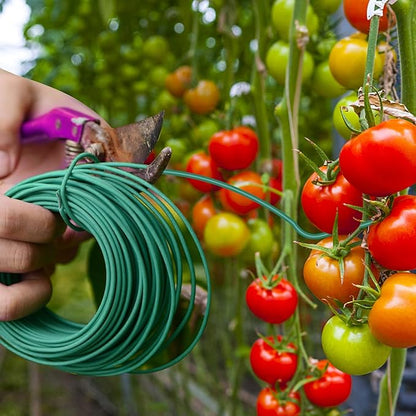 YDSL 100 Feet Soft Tie for Plants, 3 Pack Green Twist Garden Ties Gardening Supplies for Supporting Climbing Plants, Tomatoes, Vegetables, (Diameter - 2.5MM)