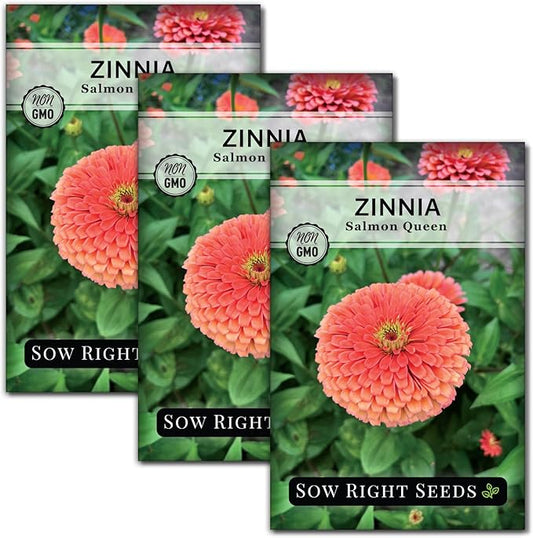 Sow Right Seeds - Salmon Queen Zinnia Seeds for Planting - Non-GMO Heirloom Packet to Plant & Grow an Outdoor Home Flower Garden - Annual, Giant Pink Blooms to Cut and Come Again (3)