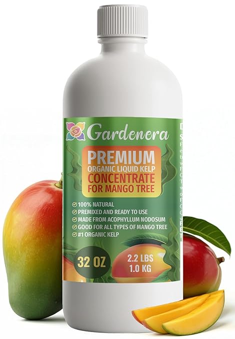 GARDENERA Premium Organic Seaweed & Kelp Superfood for Mango Trees Plants - 32 oz - Liquid Kelp Fertilizer Concentrate (Makes 180 Gallons)