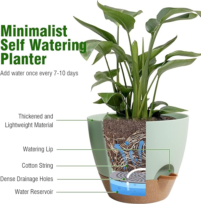 8 inch Self Watering Pots, 2 Pack Plastic Planters with Mesh Drainage Holes for Garden Plants and Flower, Plants Pots with Deep Reservoir for Indoor Outdoor Plants, Green with Brown