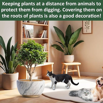 ZeeDix 4 Pack Coconut Fiber Mulch Ring, 18 Inch Coco Coir Tree Ring Mulch Mat, 100% Natural Tree Protector Mat Plant Cover Ring Coconut Coir Discs Tree Mats Mulch Rings for Indoor Outdoor Trees Plants