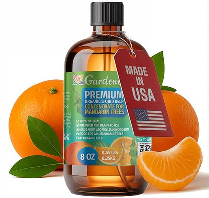 GARDENERA Premium Organic Seaweed & Kelp Superfood for Mandarine Plants - 8 oz - Liquid Kelp Fertilizer Concentrate (Makes 45 Gallons)