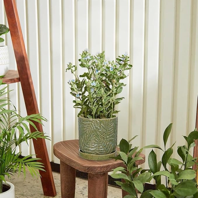 5.5 Inch Ceramic Planter Pots with Drainage Holes, Saucers for Indoor-Outdoor Plants, Succulent Orchid Flower Large Round Plant Pot Green