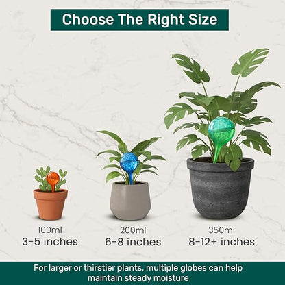 LGL Plant Watering Globes - Automatic Self Watering Globes. Decorative Self Watering Planter Inserts. Self Watering Spikes to Support Plant Health. 4 Pack x 100ml.