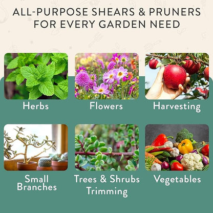 Modern Sprout Hand Pruners & Shears Set with Blister Pack - Lightweight Gardening Tools with Easy Lock - Sharp Carbon Steel Blades -Rust Resistant Scissors for Herbs, Flowers - Ocean