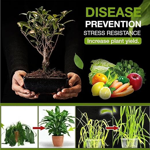 Yegbong Soil Activator, Soil Pro Activator, Nauticos SoilActivator, Organic, Water-Soluble Formula for Optimal Nutrient Uptake & Root Development, Enhance Growth for Vegetables & All Plants (1)