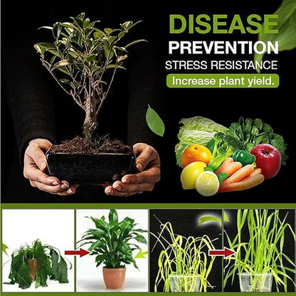 Yegbong Soil Activator, Soil Pro Activator, Nauticos SoilActivator, Organic, Water-Soluble Formula for Optimal Nutrient Uptake & Root Development, Enhance Growth for Vegetables & All Plants (1)