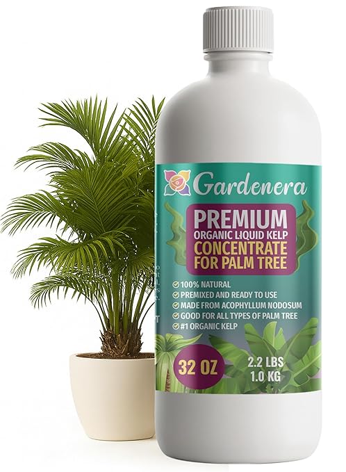 GARDENERA Premium Organic Seaweed & Kelp Superfood for Palm Tree Plants - 32 oz - Liquid Kelp Fertilizer Concentrate (Makes 180 Gallons)