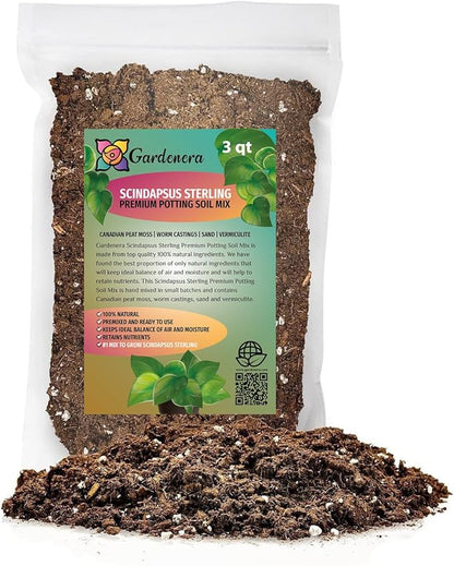 GARDENERA Scindapsus Sterling Plant Potting Soil - Enhance Variegation and Health with Professional Grade Nutrient-Rich Mix - 3 Quart