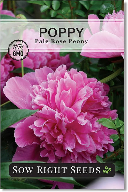 Sow Right Seeds - Pale Rose Peony Poppy Seeds for Planting - Non-GMO Heirloom Annual Variety - Beautiful Poppy Flowers - Ideal for Gardens, Flower Beds - Easy to Grow - Pink Peony Blossoms (1)