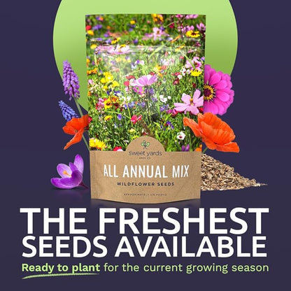 Bulk Wildflower Seeds Annual Quick Blooming Mix - 1/4 Pound Bag - Over 30,000 Open Pollinated Seeds