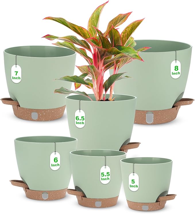 Self Watering Planter Set with Visual Water Level, 6Pack Small Plastic Pot with Drainage Holes and Reservoir Saucers, Modern 8+7+6.5+6+5.5+5 Inch Bottom Watering Flower Pots for Indoor Plant - Green