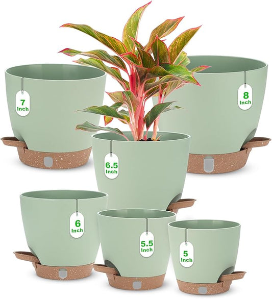 Self Watering Planter Set with Visual Water Level, 6Pack Small Plastic Pot with Drainage Holes and Reservoir Saucers, Modern 8+7+6.5+6+5.5+5 Inch Bottom Watering Flower Pots for Indoor Plant - Green
