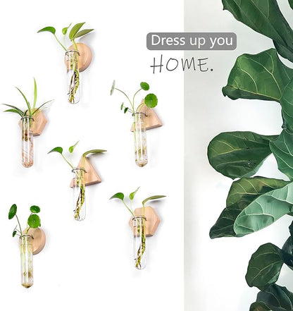 MITIME Wall Hanging Planter Glass Plant Propagation Station,Geometric Wooden Stand for Home Office Decoration.