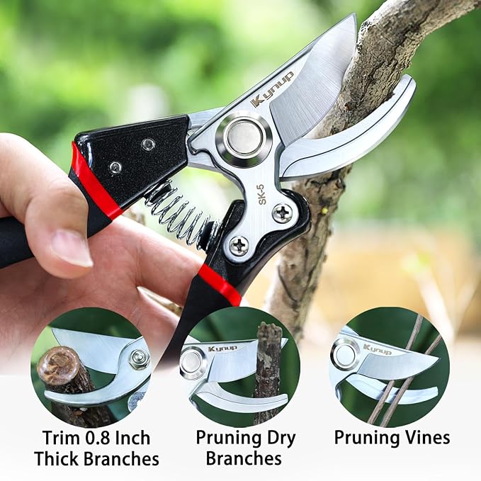 Kynup Pruning Shears for Gardening, Garden Shears Heavy Duty, Bonsai Cutters Shears Pruners, Hedge Clippers, Rose Trimmer Hand Clippers Gardening (Red Black)
