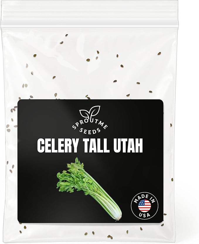 Fall & Winter Celery Tall Utah Seeds for Indoor & Outdoor Planting – 200+ Non-GMO Heirloom USA-Grown Crisp Stalks, High Germination (Apium graveolens VAR. Dulce)