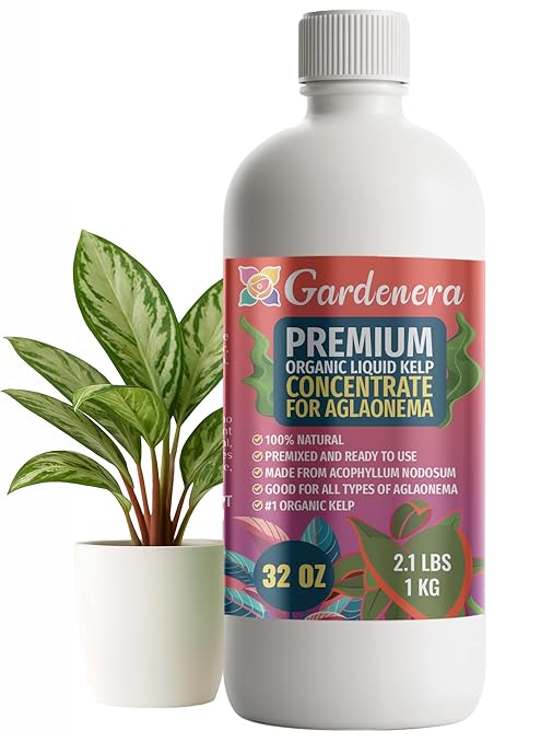 GARDENERA Premium Organic Seaweed & Kelp Superfood for AGLAONEMA Plants - 32 oz - Liquid Kelp Fertilizer Concentrate (Makes 180 Gallons)