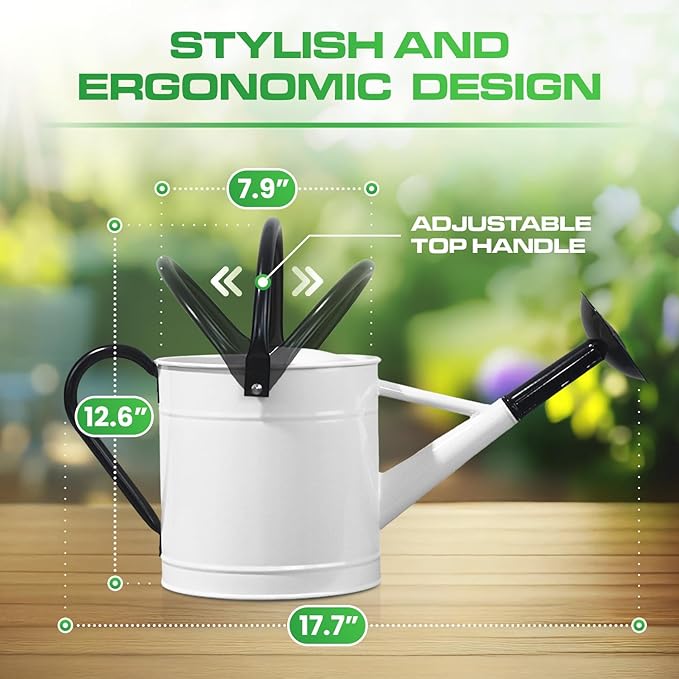 Plexon 1 Gallon Metal Watering Can Outdoor, Flower Plant Gardening Garden Large Watering Can Pot, Black Galvanized Steel Handles and Removable Spray Spout, White