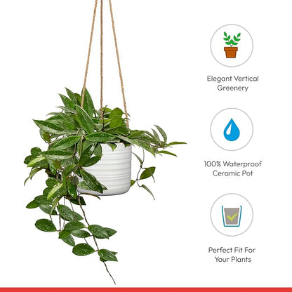 SCHEURICH Set of 2 Dark Oak Cottage Ceramic Hanging Plant Pot 6.5" - with 22" Sisal Rope Hanger - Waterproof&Break-Resistant, for Indoor&Outdoor Plants, Succulents&Flowers - Made in Germany - 0.7 gl