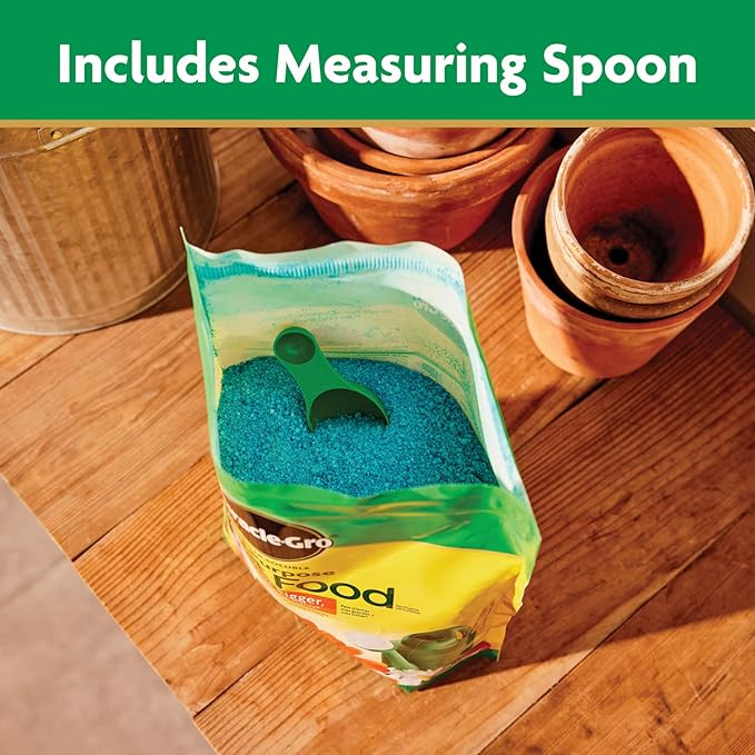 Miracle-Gro Water Soluble All Purpose Plant Food, Feed Flowers, Vegetables, Roses, Shrubs, and Houseplants, 5.5 lb.