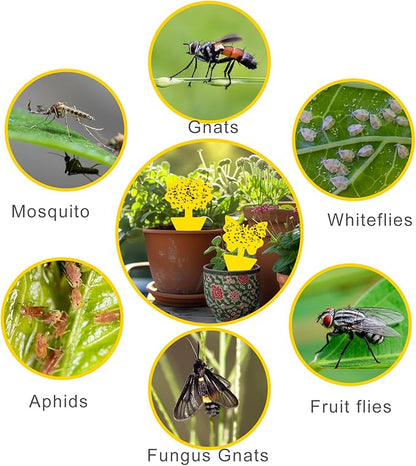 Fruit Fly Traps, 100 Pack Yellow Sticky Traps, Fungus Gnat Traps, Plant Fly Stickers for Indoor and Outdoor Use Protect The Plant