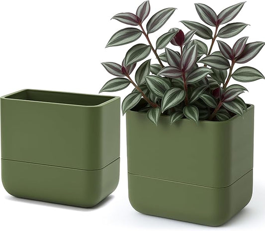 Phoenix Vine 6.5-Inch Wall Mounted Self-Watering Planter Pot for Indoor Houseplants and Herbs | Hanging Planter for Window Sills, Bathroom Walls, Home & Office Décor, Olive, Set of 2, 01-WP-C-2