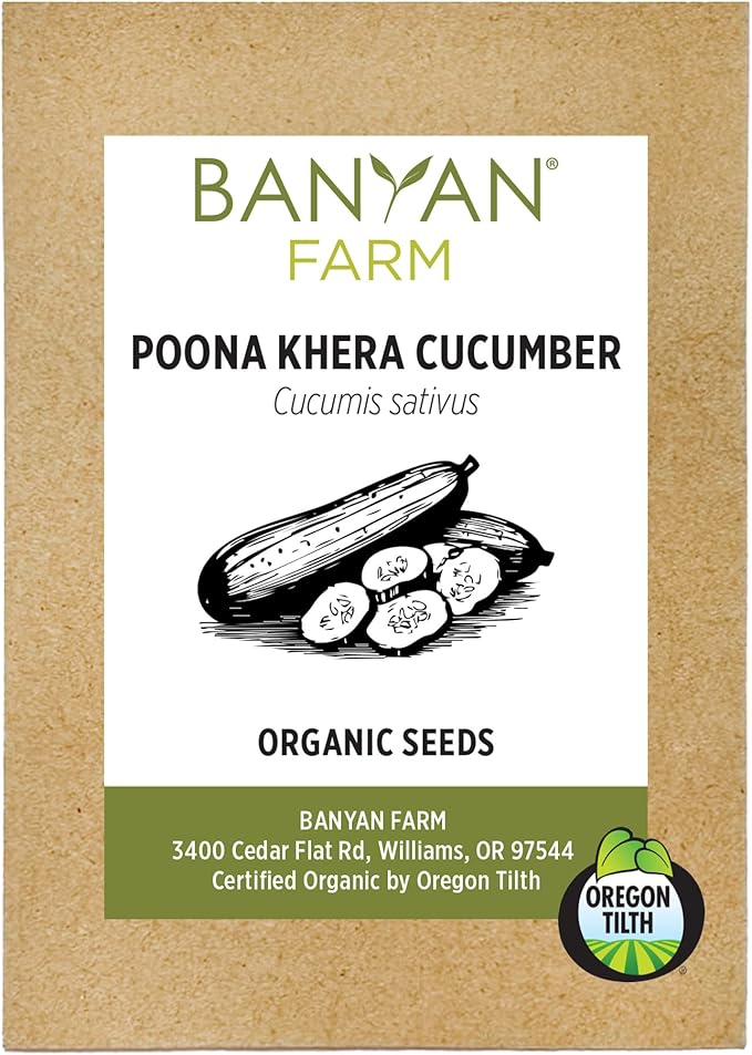 Banyan Botanicals Organic Cucumber Seeds – Heirloom Poona Khera (Cucumis Sativus) Seeds –Tender & Crisp for Eating or Pickling – 30 Count – Open Pollinated Non-GMO Easy-to-Grow