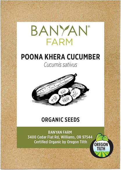 Banyan Botanicals Organic Cucumber Seeds – Heirloom Poona Khera (Cucumis Sativus) Seeds –Tender & Crisp for Eating or Pickling – 30 Count – Open Pollinated Non-GMO Easy-to-Grow