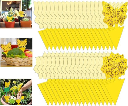 54 Pack Fruit Fly Trap for Indoor, Gnat Traps for House Indoor, Fungus Gnat Killer Sticky Traps for Plants, Mosquitoes, Flying Insects