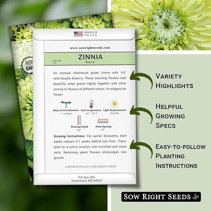 Sow Right Seeds - Zinnia Envy Flower Seeds for Planting - Beautiful Flowers to Plant in Your Garden - Non-GMO Heirloom Seeds - Chartreuse Green Variety - Attract Pollinators - Giant Cut Flower (1)