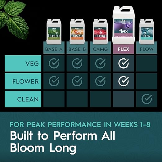 Flex PK-Booster Gallon