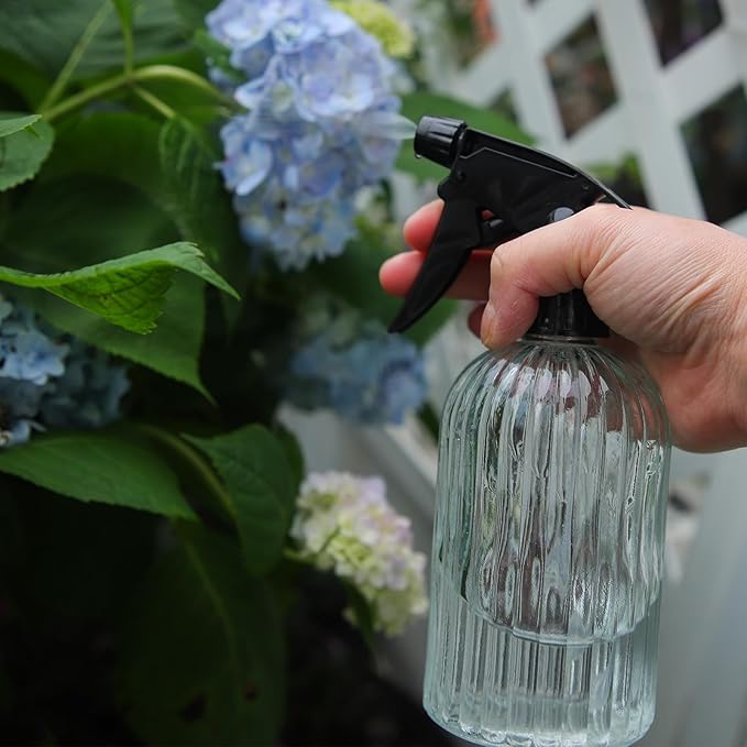 OFFIDIX Watering Can for Indoor Plants,Long Spout Metal Stainless Steel 21 oz/600 ml Watering Can with 14 oz/400ml Glass Plant Mister Spray Bottle for House Plant Bonsai