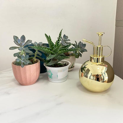 Stainless Steel Plant Sprayer, Small Watering Can, Modern Gardening Tool for Indoor Potted Plants, Gold Color