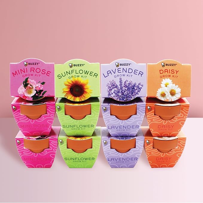 BUZZY Seeds Terracotta Mini Grow Pots | Flower Starter Kit for Kids & Adults | Assorted 12-Pack, Bright Series Collection, Daisy, Lavender, Mini Rose, Sunflower | Gardening Gift, Party Favors