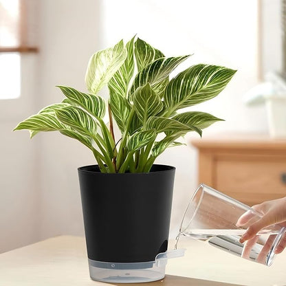 4 Inch 10 Pack Small Self Watering Pots for Indoor Plants, Nursery Pot with Drainage Holes and Saucers, Plastic Small Flower Planter for Succulent, Aloe, Cacti and More (Black)